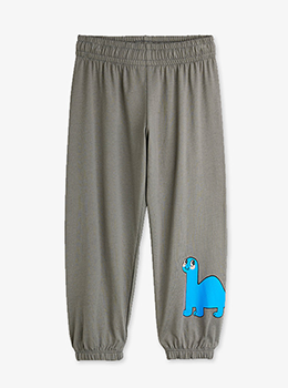 ��ǰ ������